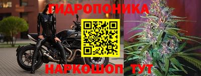 прущие грибы Шелехов