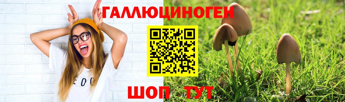 Северск  Псилоцибиновые грибы GOLDEN TEACHER  Вход с VPN 