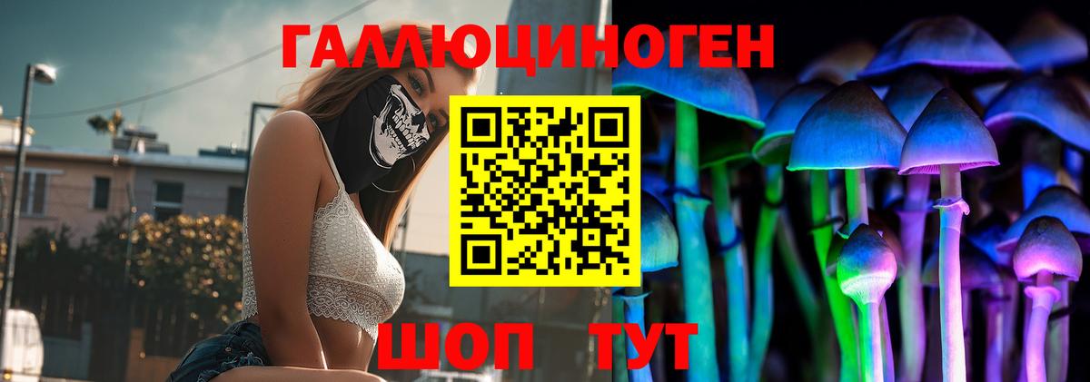 Галлюциногенные грибы мухоморы Северск